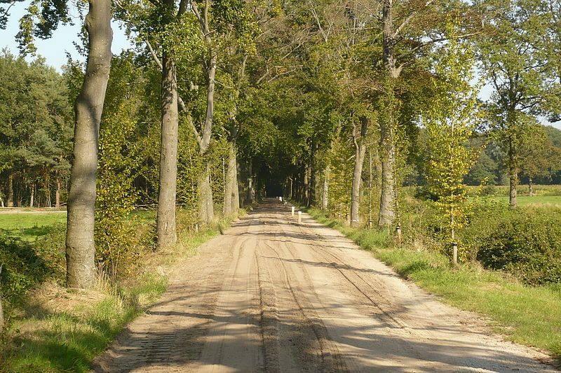 Rangerwandeling op de Bocholtsebaan