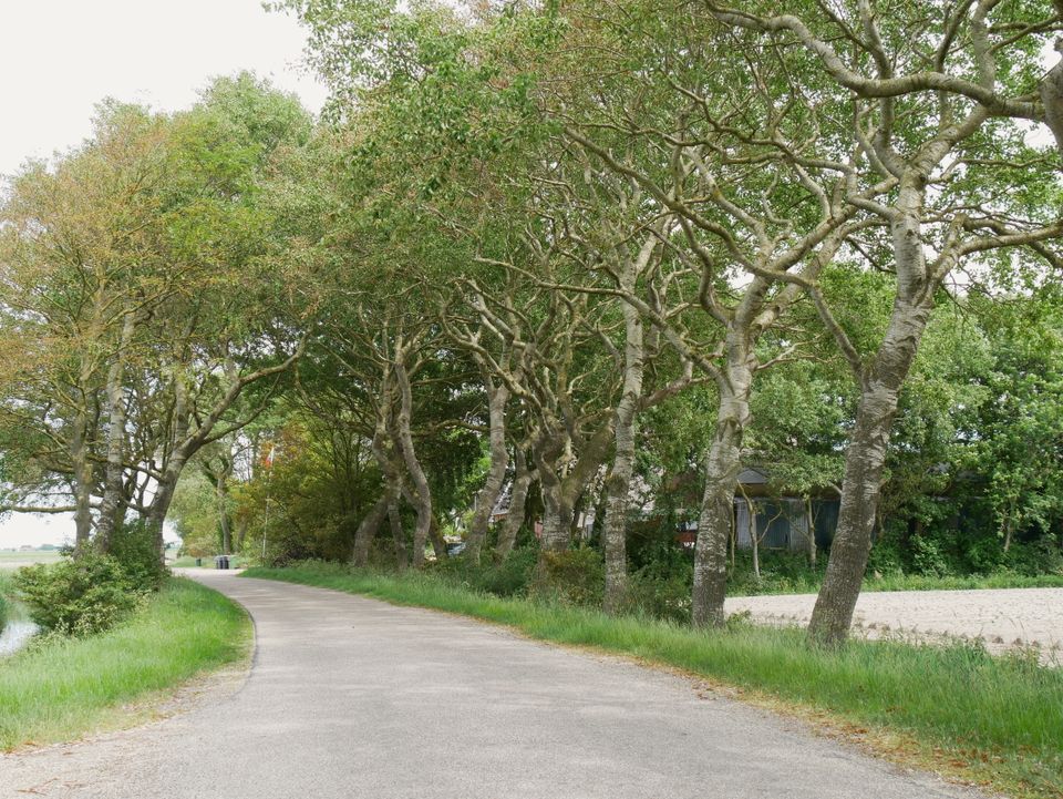 Sexbierum-St. Jacobiparochie | Klooster Claercamppad: etappe 13