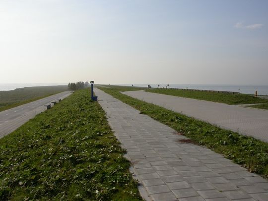 Uitkijkpunt De Kuifeend