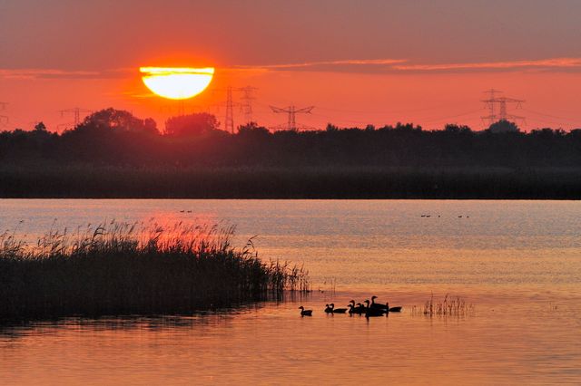 Naardermeer