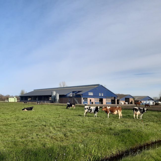 Vakantieboerderij Nunspeet buiten