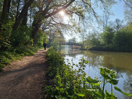 Wandelen door de bosrijke omgeving langs de Kromme Rijn