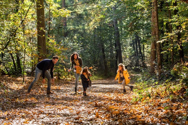 Gezin in de herfst in de Oisterwijkse Bossen en Vennen