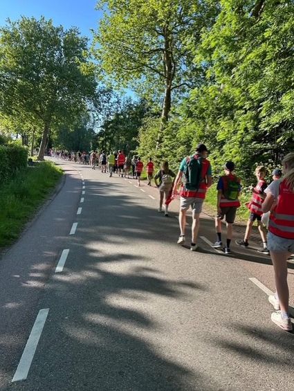 Wandelevenement Avond4daagse Harmelen, Harmelen, Groene Hart, groep deelnemers en gezinnen wandelen over een landelijk fietspad tussen groene bomen tijdens een zomeravond.