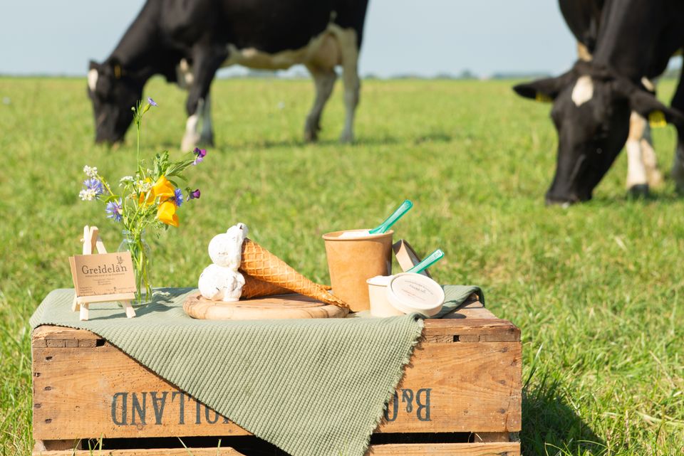 Vers ambachtelijk ijs met koeien op de achtergrond.