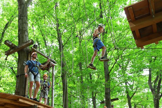 Rocks ’n Rivers Treetop Adventure Park | VisitBrabant