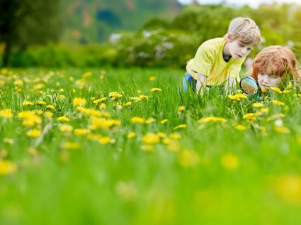 twee kinderen op zoek naar insecten