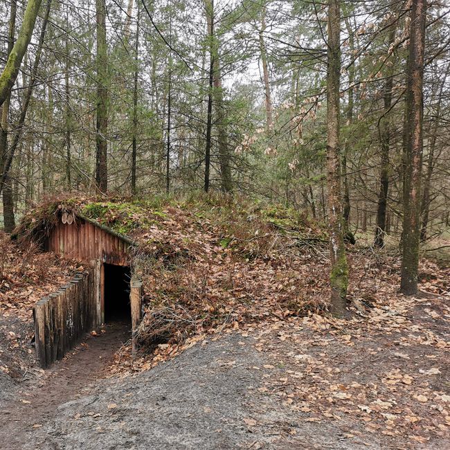 Verscholen Dorp hut met boom