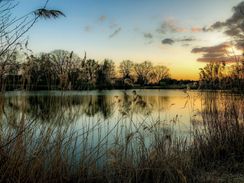 Expositie Fotoclub Optika 50 jaar