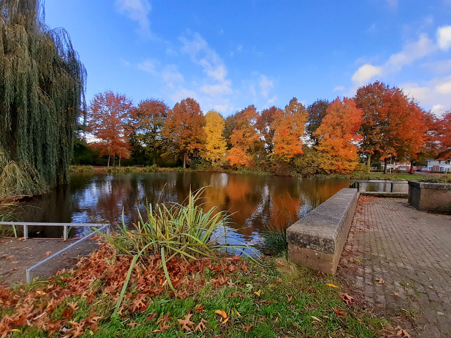 Vlierpark Deurne in de herfst