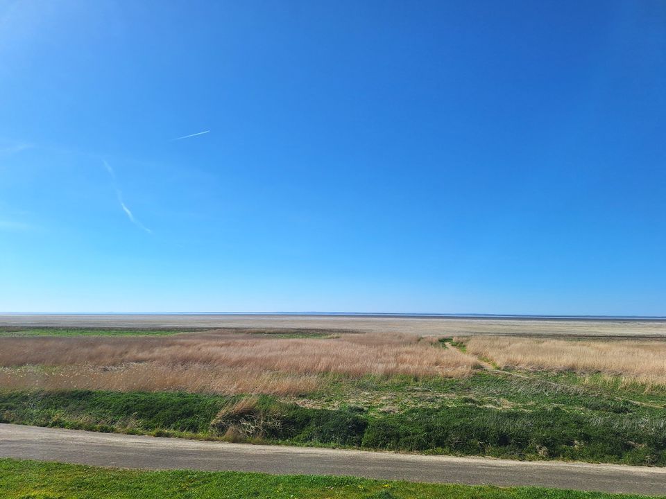 Het land van Furdgum en Koehoal