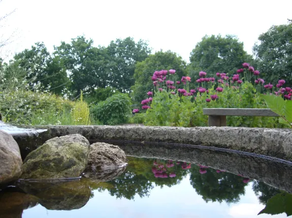 Thee &- Kruidentuin de Groene Hof