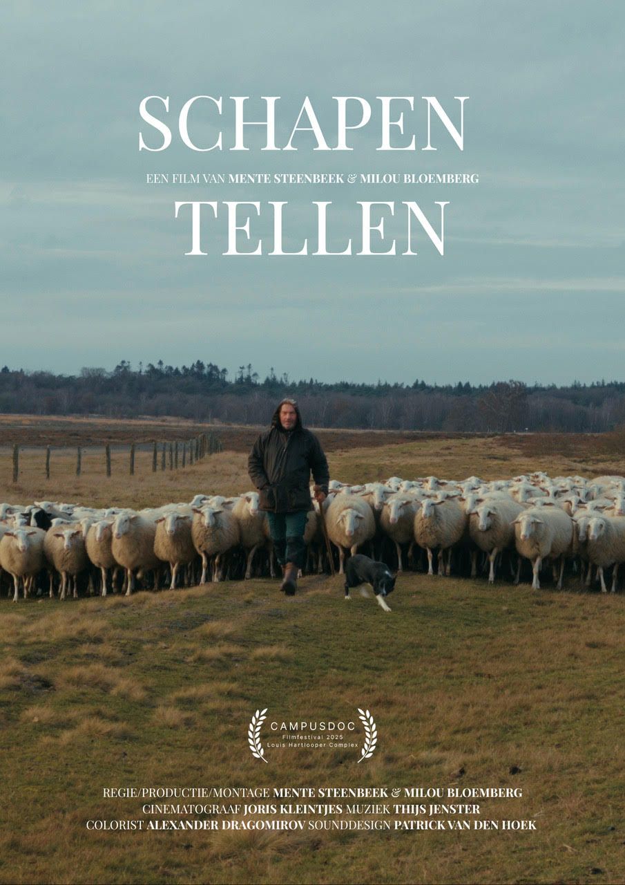 filmposter 'Schapen tellen'