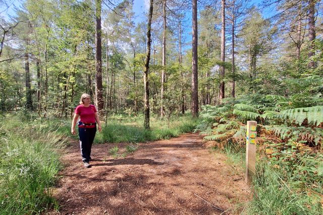 Boswachter Ellen aan het wandelen in een stuk bos.