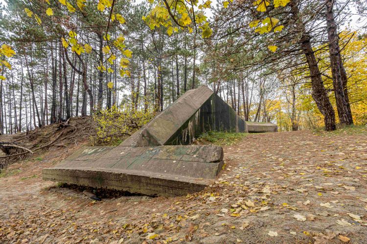 Vleugelbunker-walvisbunker-op-schouwen-duiveland-burgh-haamstede