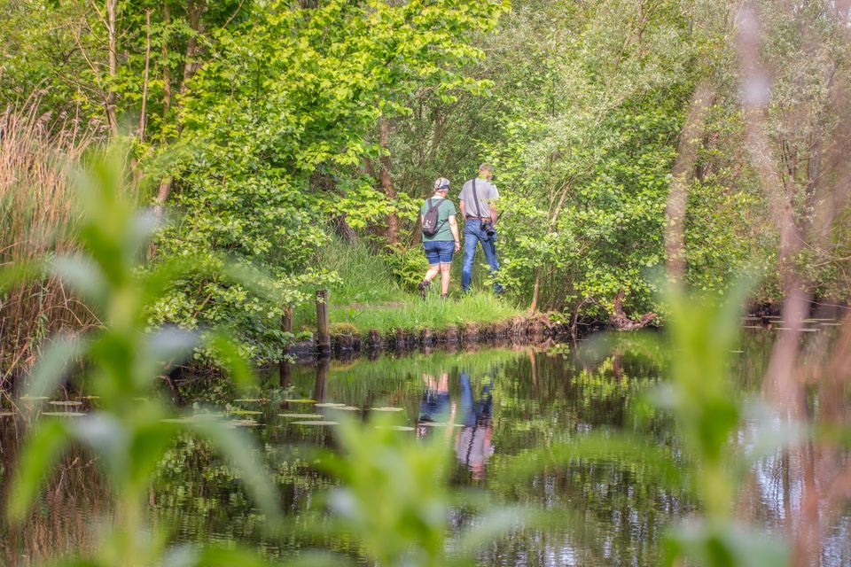 Natuurgebied Baggerputten