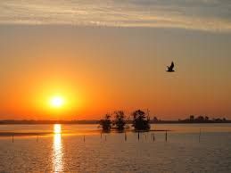 De Tike Friesland