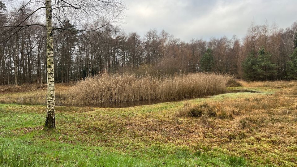 IVN-KNNV | Natuurwerkdagen (werkgroep natuurbeheer)
