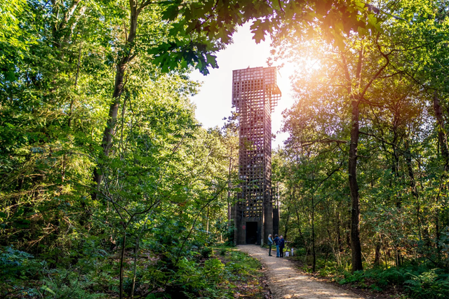 Luchtwachttoren Hees in het midden van het bos