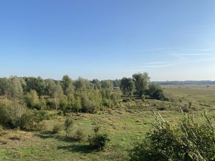 Landschap natuurgebied Banisveld