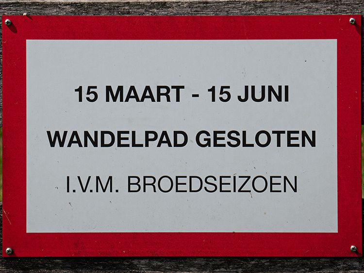 Het pontje is in het broedseizoen niet toegankelijk