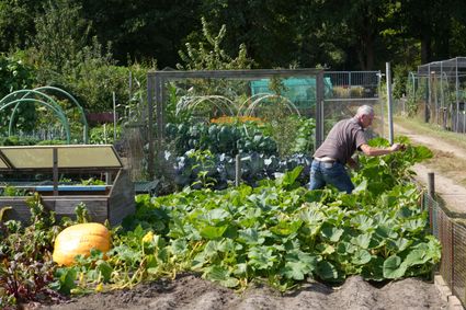 Open dag op 27 septen bij Moestuin de Oude Bogten