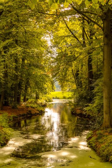 Landgoed de Braak