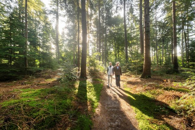 wandelen stel frederiksoord bos