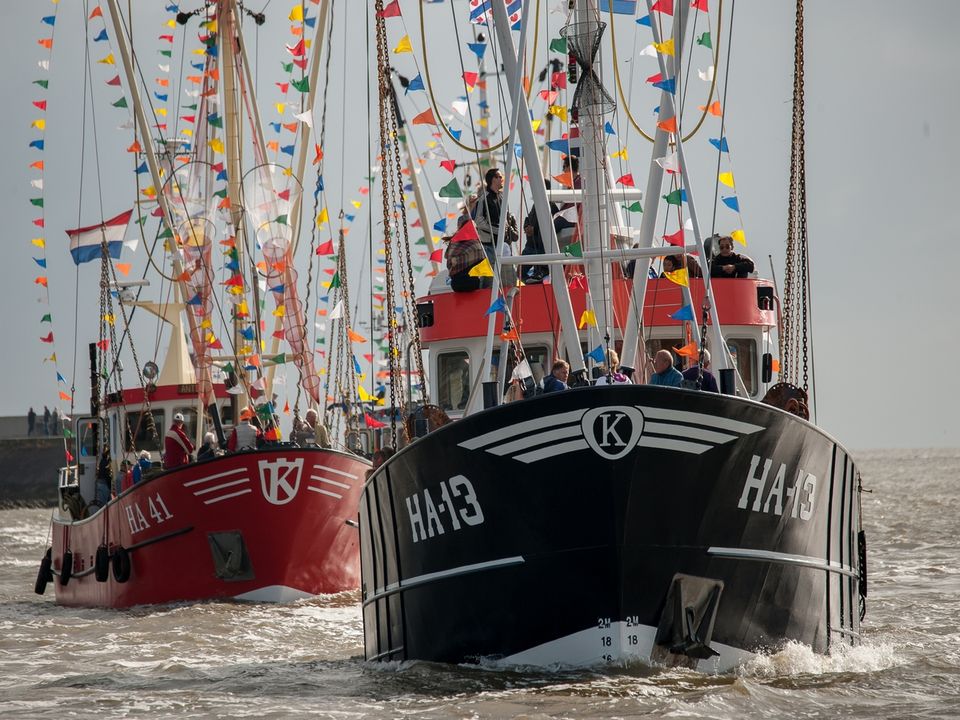 Vlootschouw op de Waddenzee