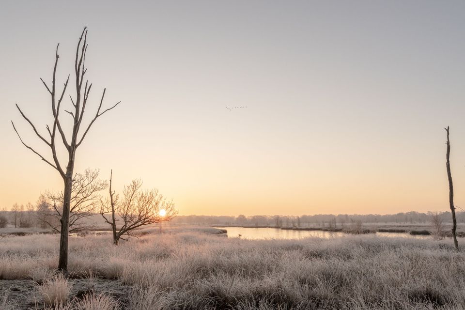 winters landschap