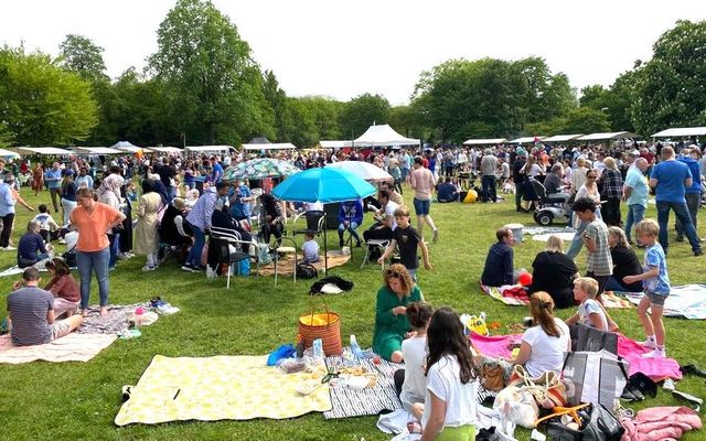 Grasveld gevuld met picknickende mensen met op de achtergrond kramen van Wereld BBQ dag
