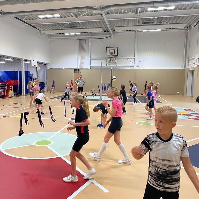 Volleybal