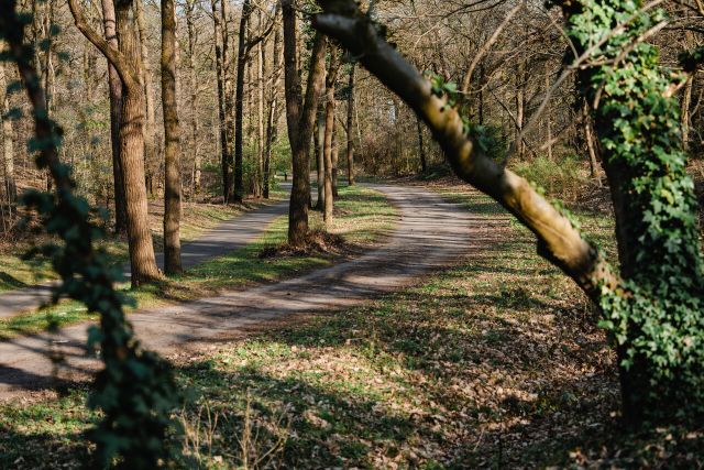 Vrachelse heide Kloosterpad