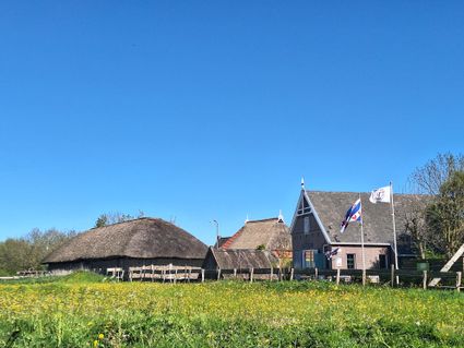 Van museum tot zwemvijver