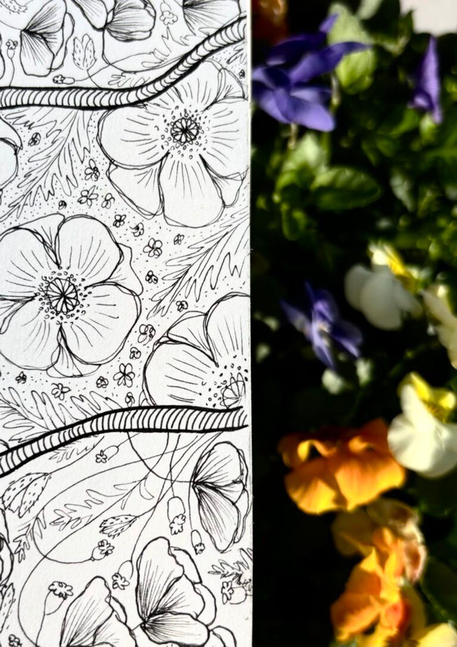 Workshop - Lijnen van de natuur