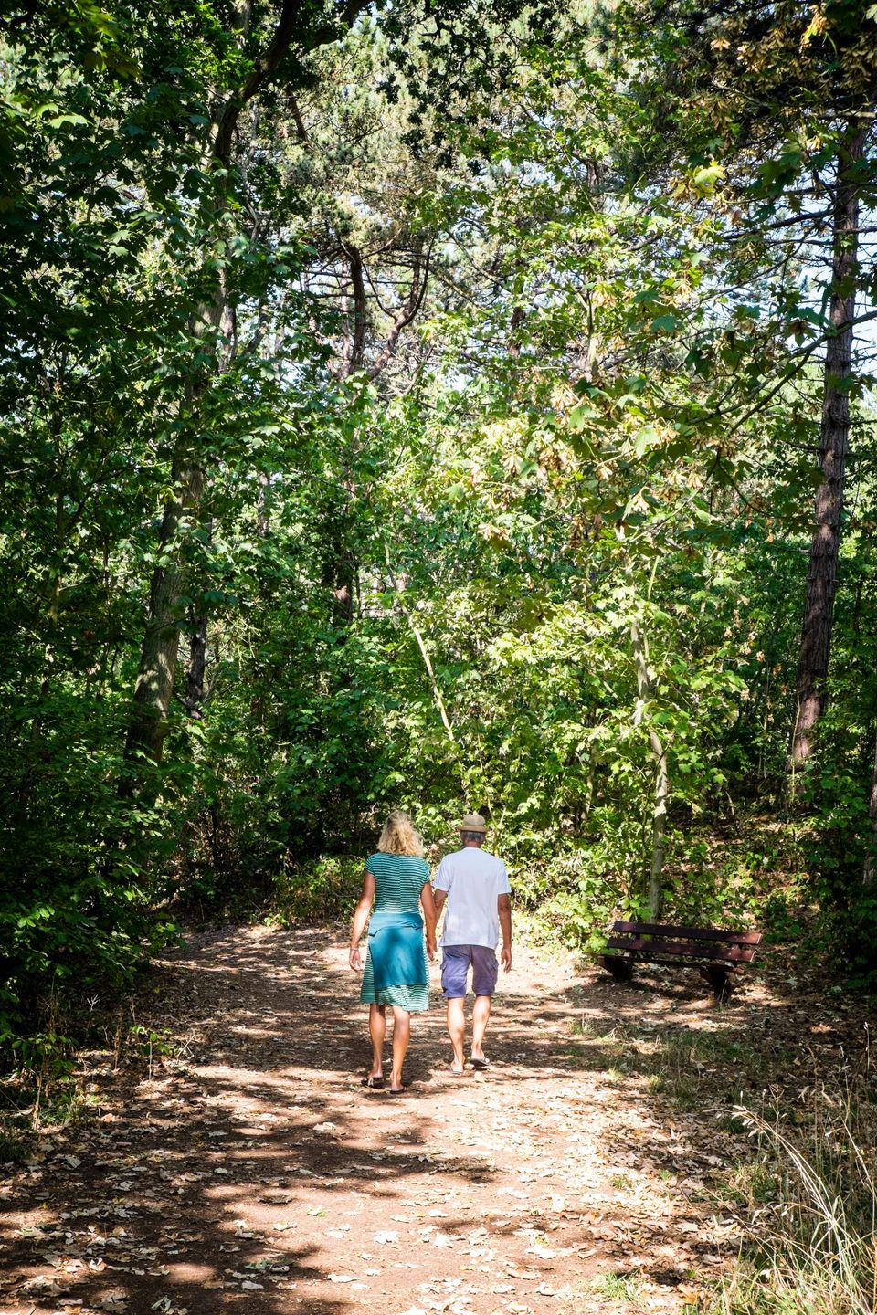 Bos_wandelendstel_Vlieland