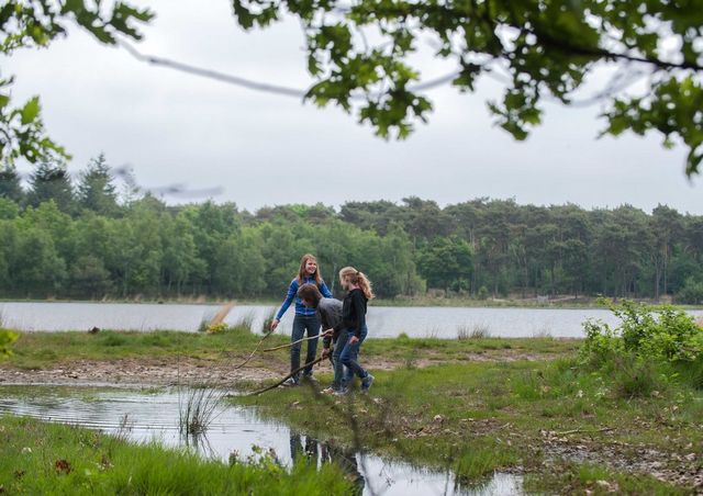 'Zandbos' (Sandwald) in Deurne