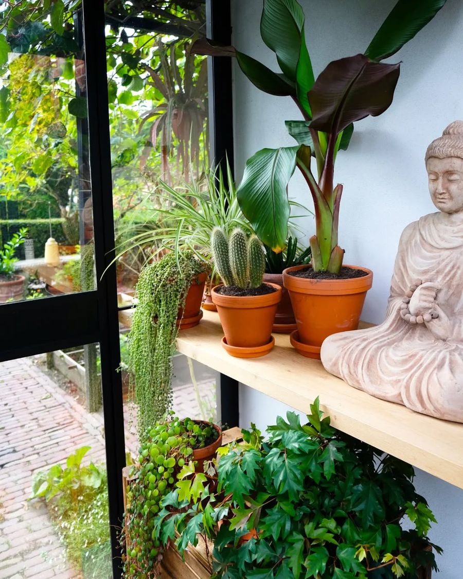planten