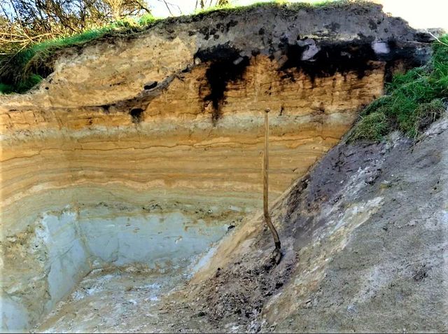 Lezing: De Hondsrug – De wereld onder onze voeten