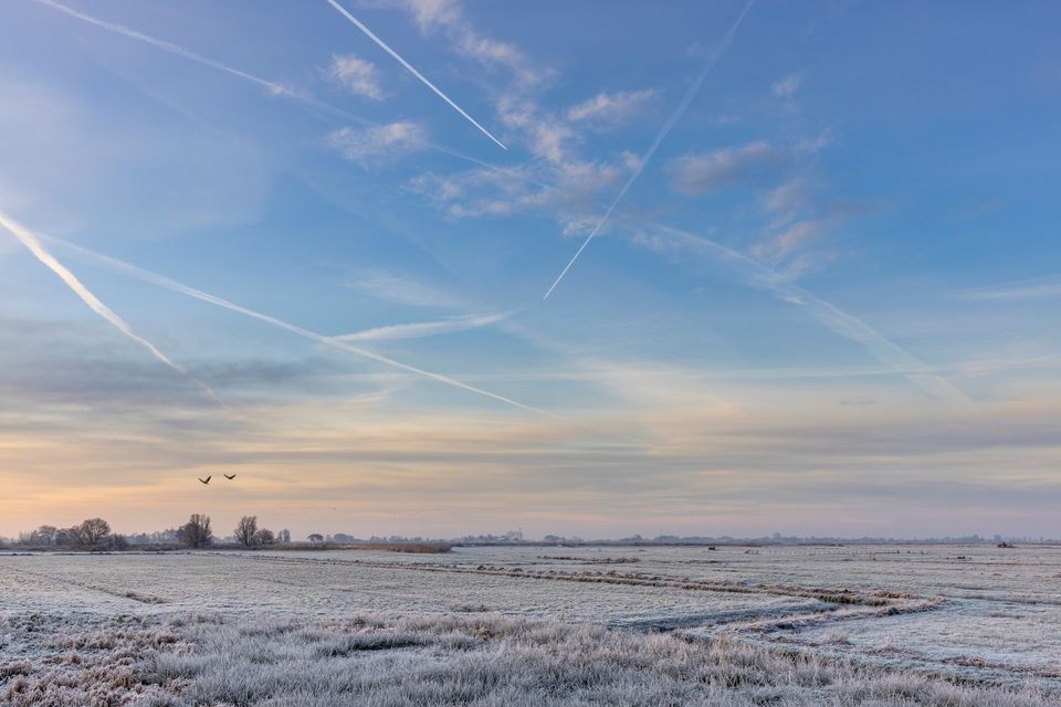 winterse foto van een weiland