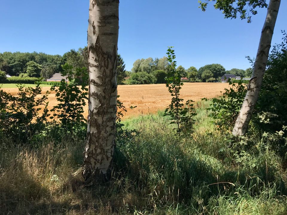 Natuur nabij 'De Winsel'