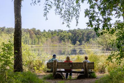 Wandelaars zitten te genieten op bankje bij Brandven in de Oisterwijkse Bossen en Vennen