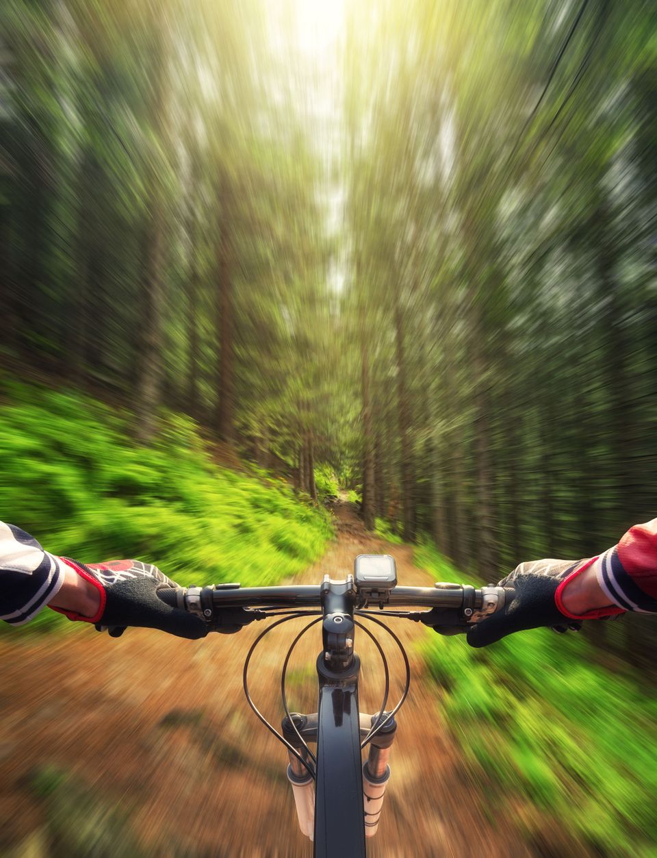 Mountainbiken, Arnhem, Stockfoto