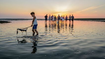Gouden uur wadexcursie met de Waddenvereniging