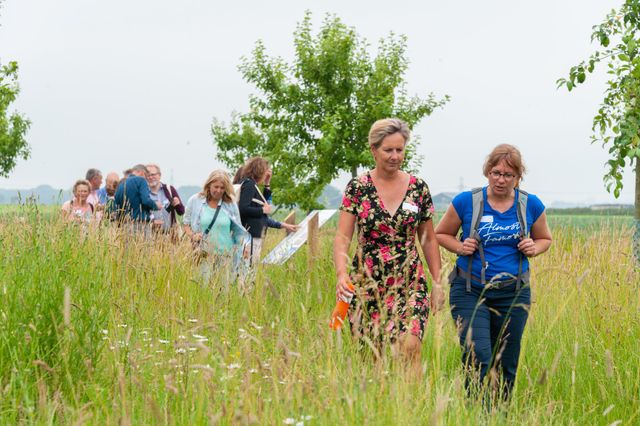 Wandelaars wandelen in de lente door het weiland van het Groene Hart