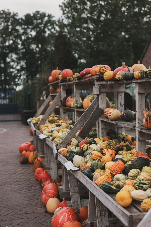 Pompoenen kopen Rijksweg Noord-limburg