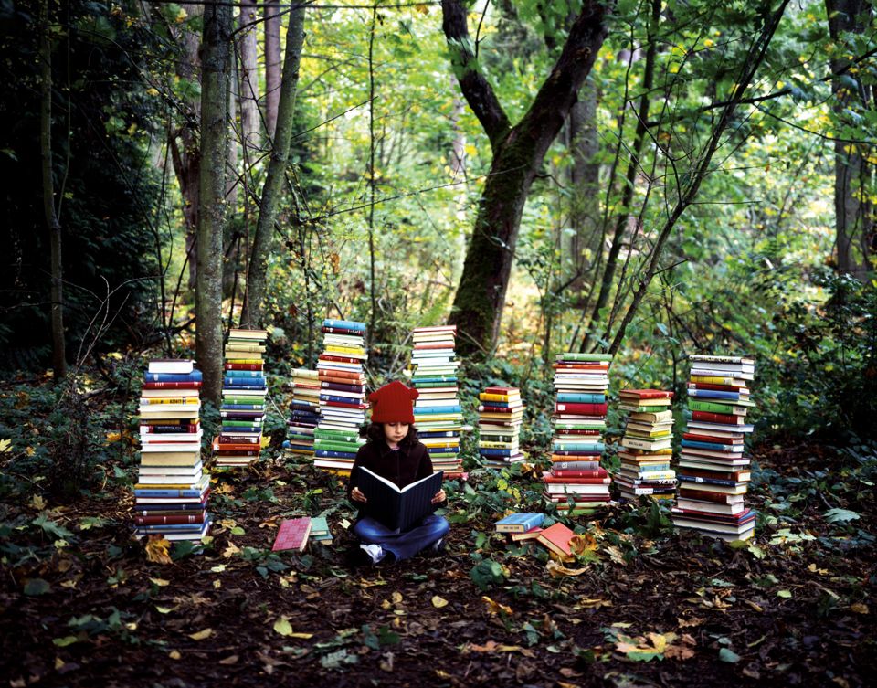 BoekenBosFeest