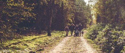 Winter bos wandelen zon