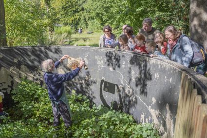 Stadsimker toont honingraat met bijen aan groep kinderen en volwassenen tijdens educatieve rondleiding in de openlucht bij NME-Centrum InBredius in Woerden.