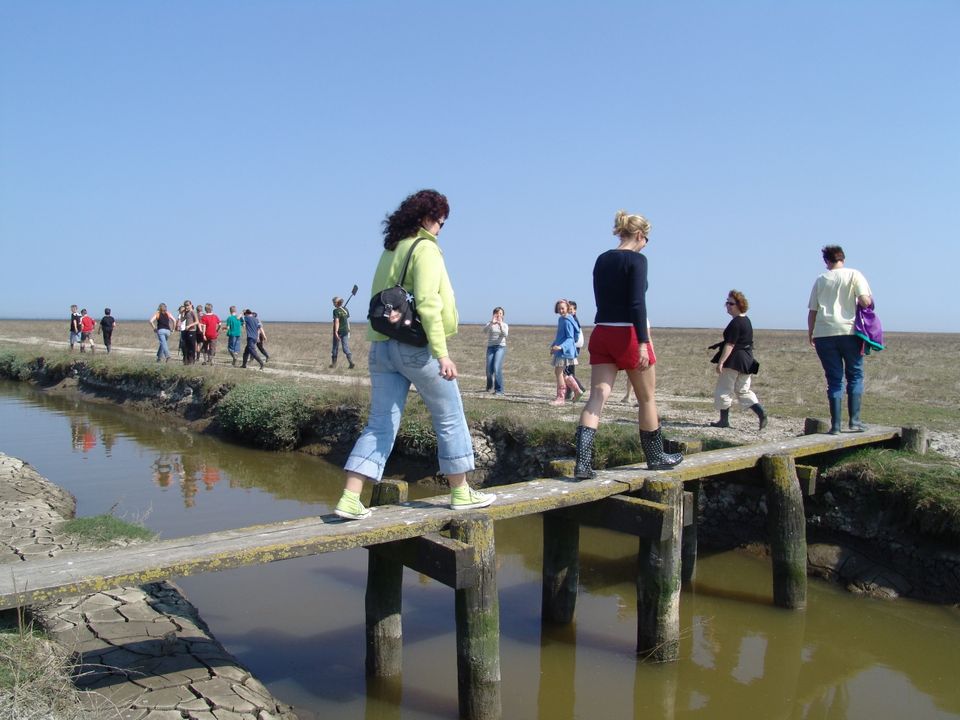 Noard-Fryslan Butendyks